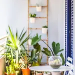 Barreiros Balcony Appartement *