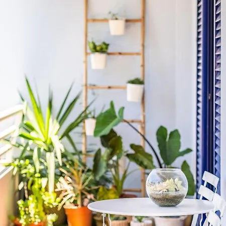 Barreiros Balcony Appartement *