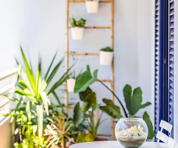 Barreiros Balcony Apartman *